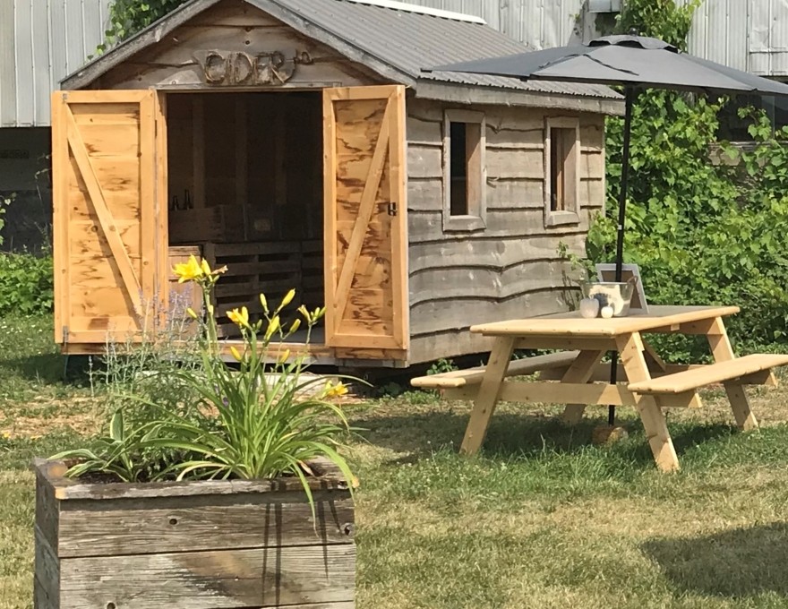 Grey &amp; Gold Cider