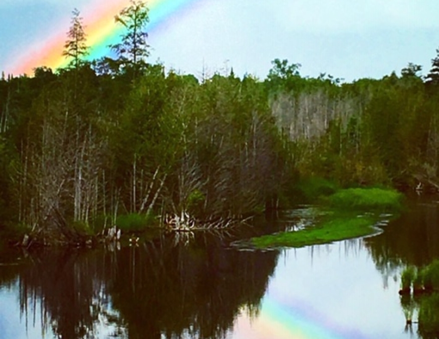 Silver Springs Culinary Retreat