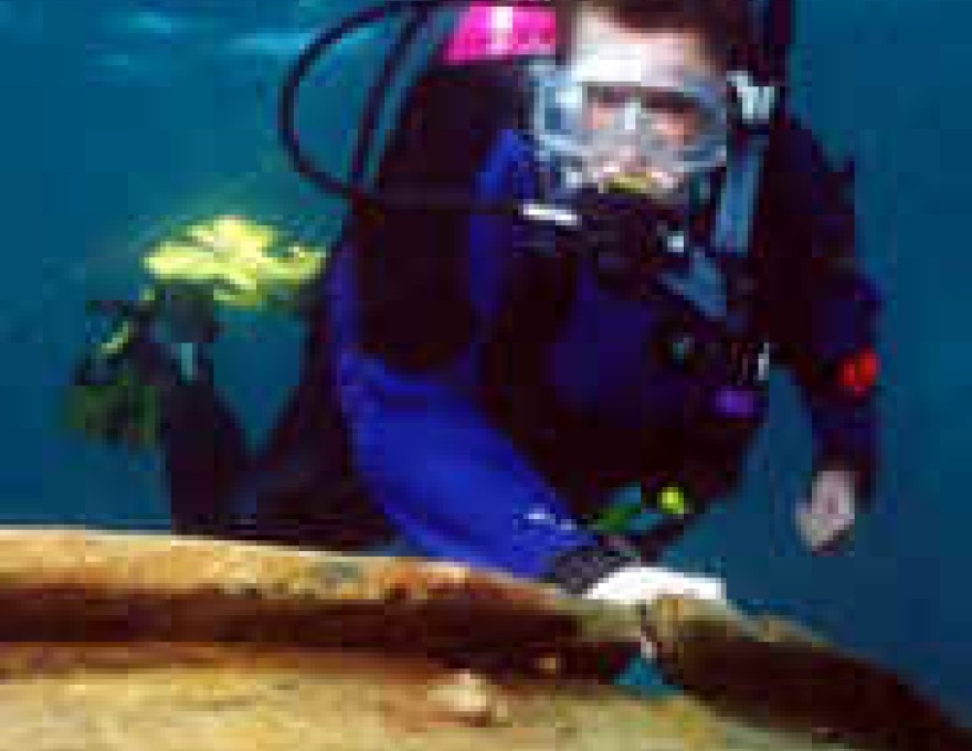 South of the Surface