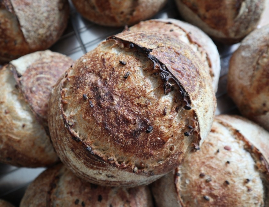 Picture of sprouted wheat sourdough bread