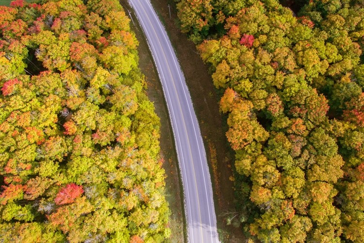 Beaver Valley Fall Colour Tour Beaver Valley Fall Colour Tour