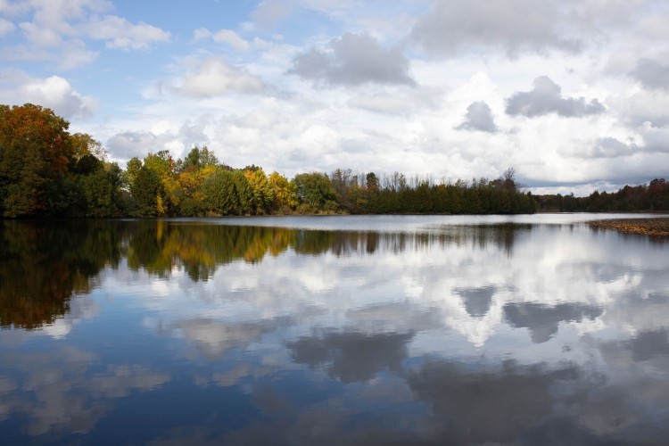 Exploring Undiscovered Gems in Southgate Exploring Undiscovered Gems in Southgate