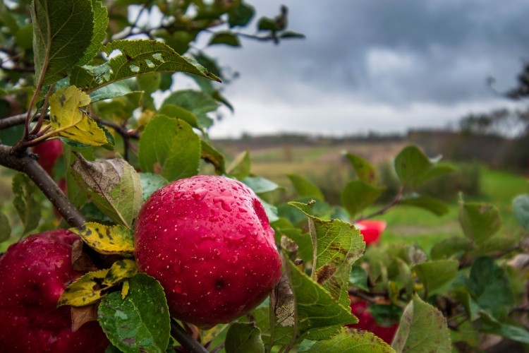 Rainy Day in Grey Rainy Day in Grey