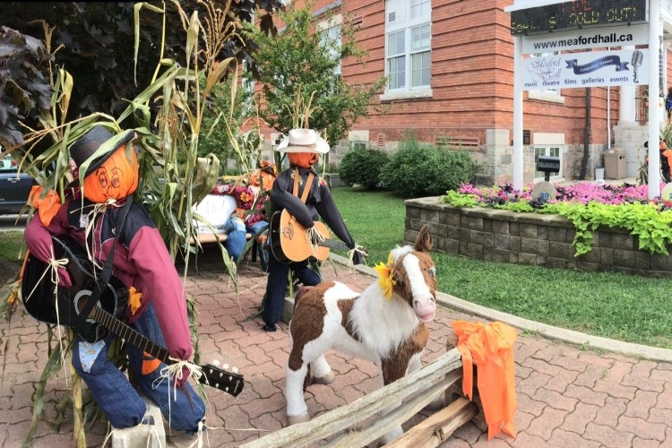 Meaford Scarecrow Invasion