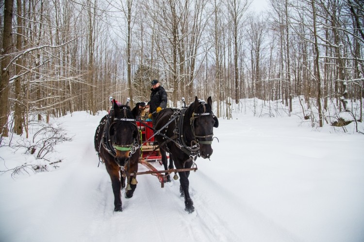 Dual Acres Sleigh Ride