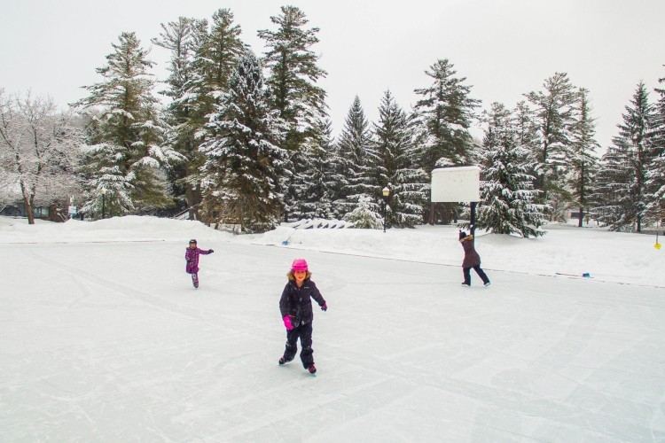 Harrison Park Rink of Good Cheer