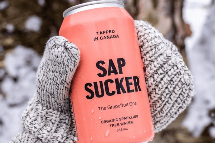 Sapsucker