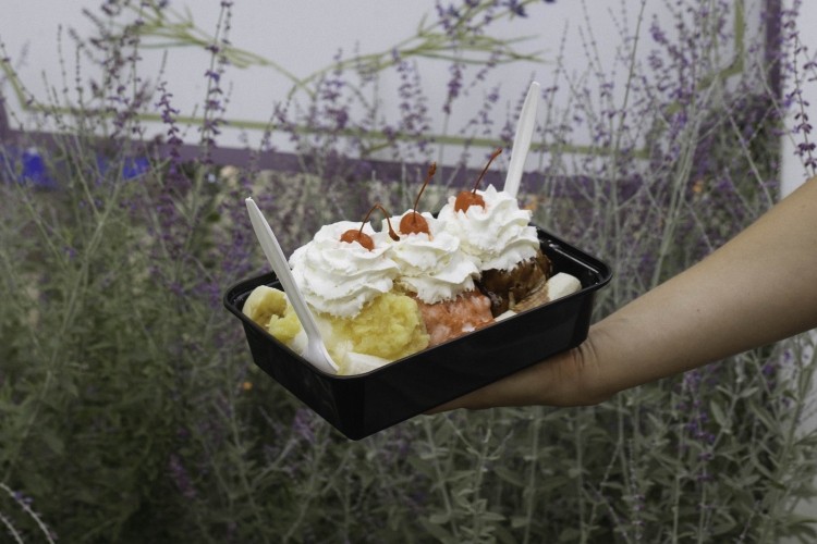 Rocklyn Inn Ice Cream & Snack Shop Rocklyn Inn Ice Cream & Snack Shop