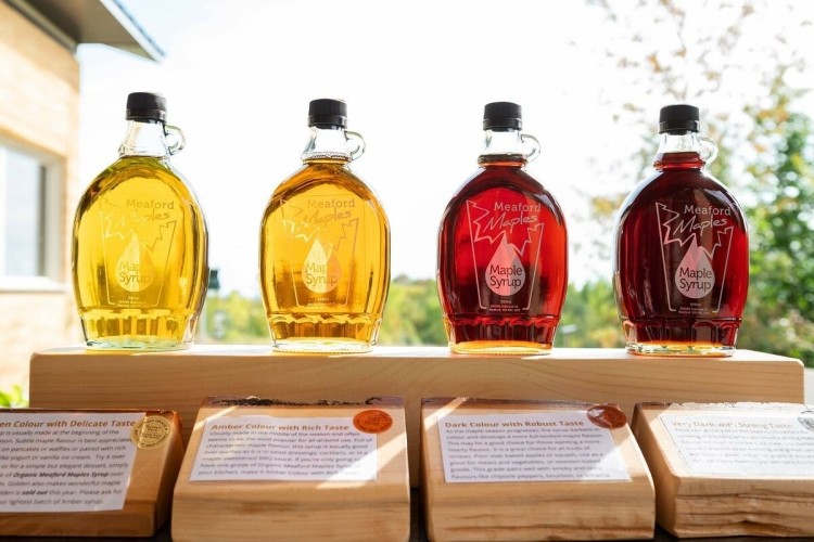 Local Maple Syrup
