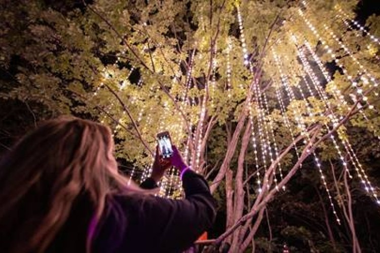 AGORA: Path of Light