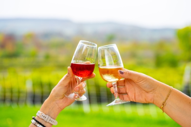 Two glasses of wine clinking together with a scenic view behind it