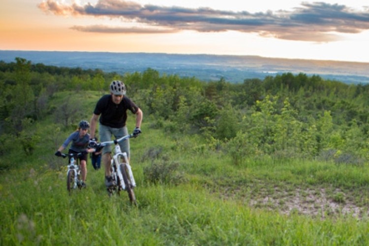 Two bikers in the forest