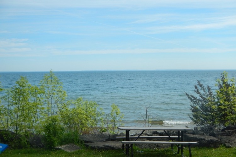 A beach with trees and a picnic table