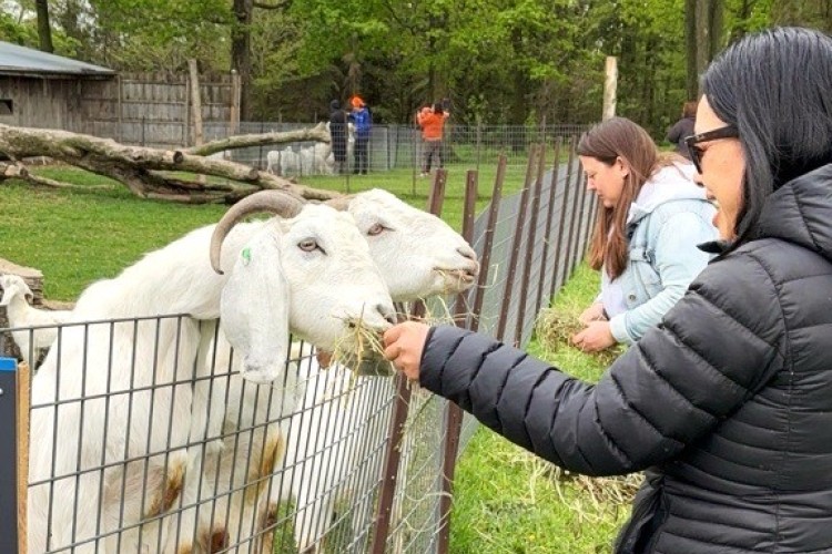 Farm on the Lake a woman feeding a goat