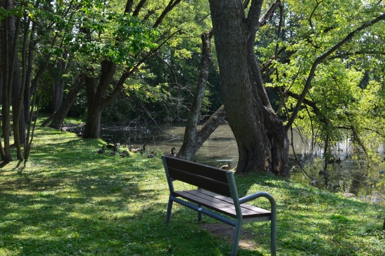 a bench by the river side