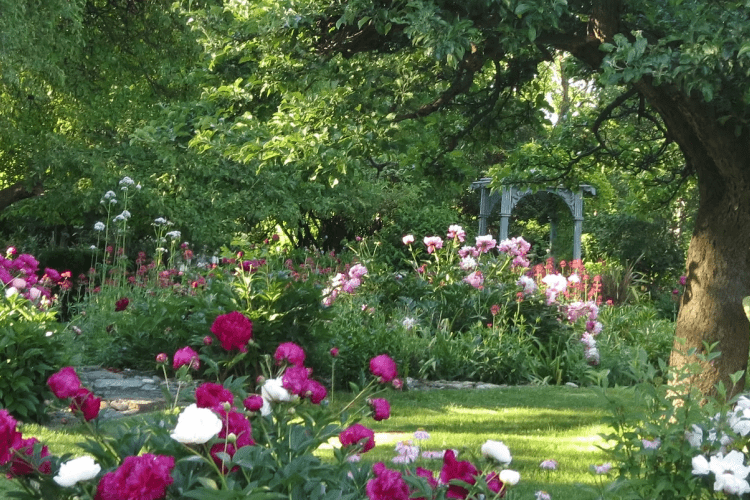 Keppel Croft Gardens beautiful sprawling gardens