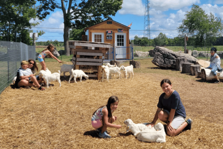 Farm on the Lake   two kids playing with goats