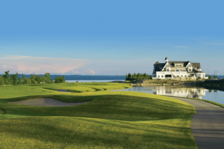 View of cobble beach and the golf course there 