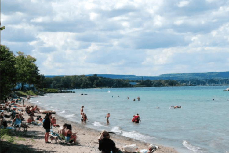 People sitting on beach