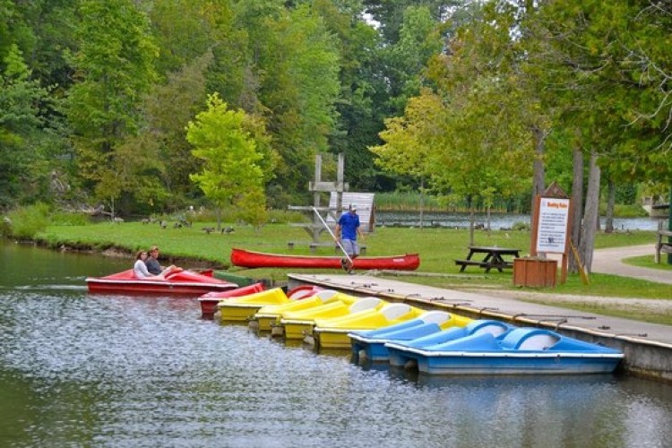 boats lined up along a dock