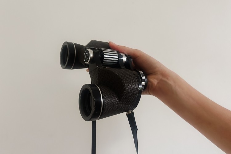 Someone holding binoculars