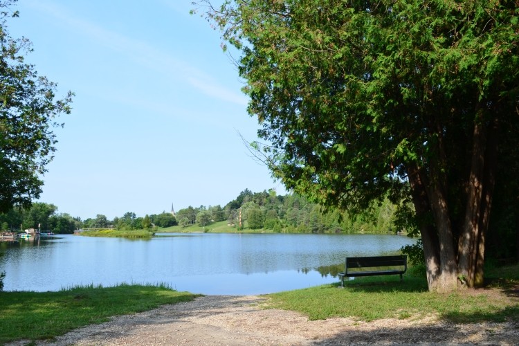 Scenic view of water with a path and trees around it