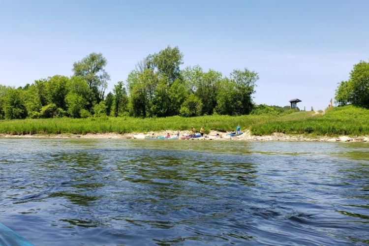 A river bank with people on it