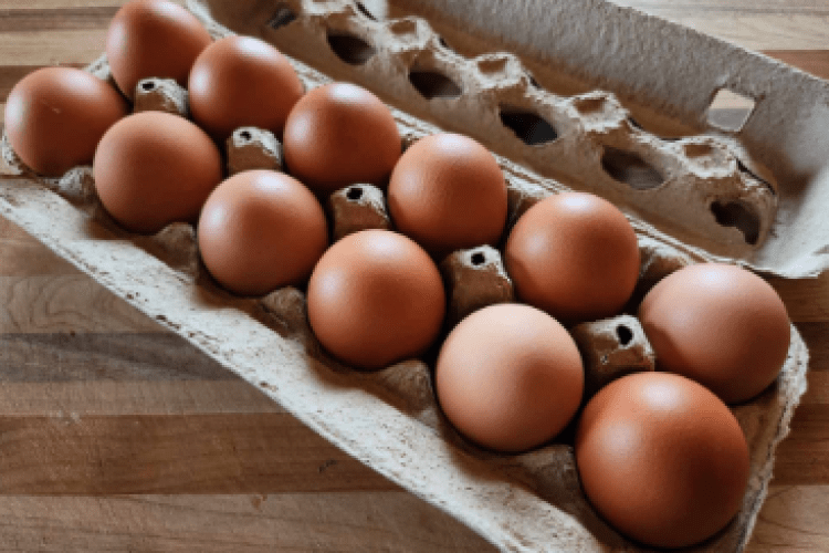 a carton of eggs 