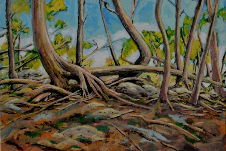 Cedars of Old Baldy, acrylic on canvas