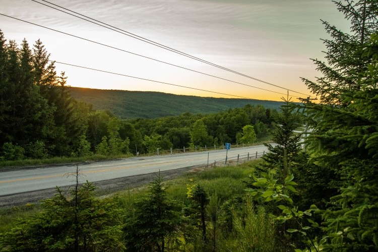 Kimberley Forest from Grey Road 13