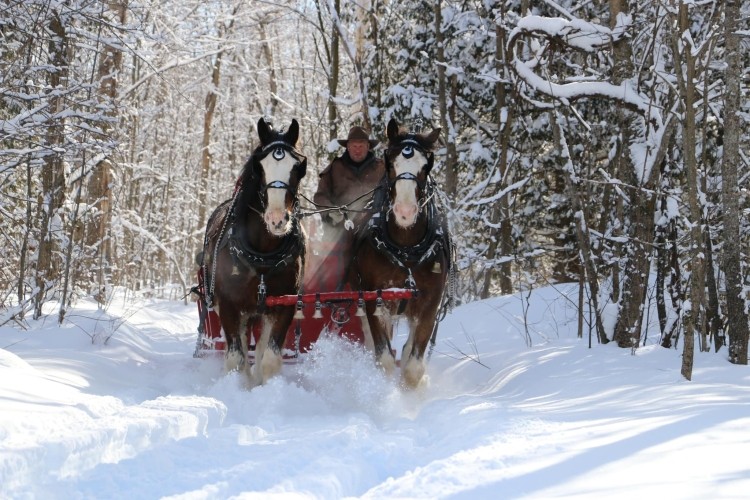 Valley Ridge Family Farm