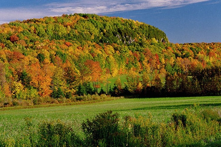 Metcalfe Rock