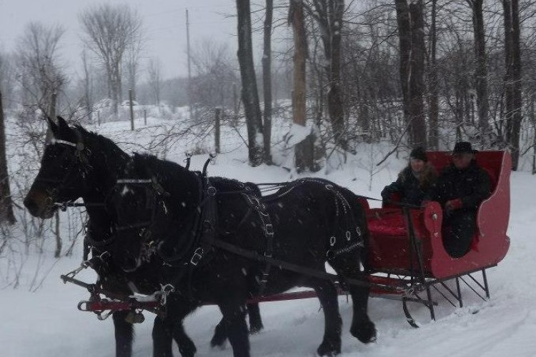 Sleigh ride