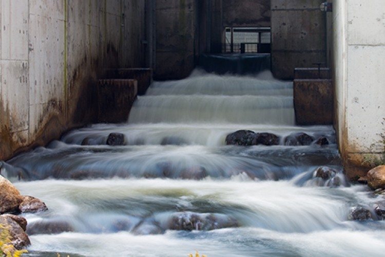 Fish ladder