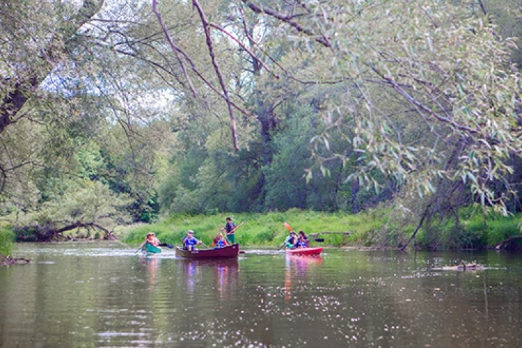Canoes on Beaver River