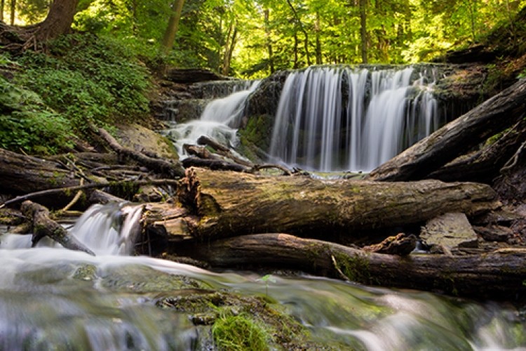 Weaver's Creek waterfall