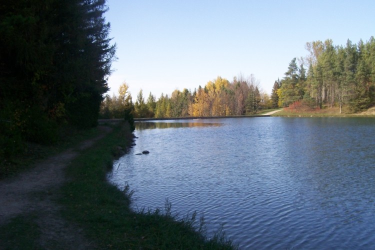 Allan Park Conservation Area