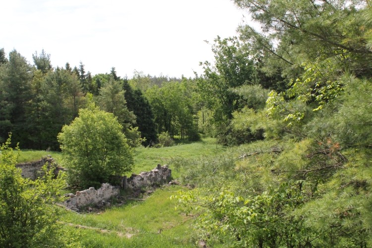 A beautiful property, east of the Town of Chesley