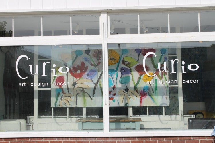 Curio Art Gallery
