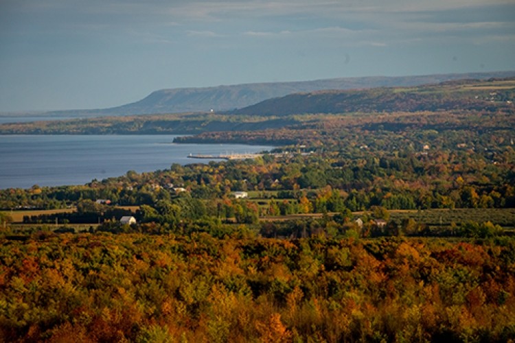 Fall colours from lookout