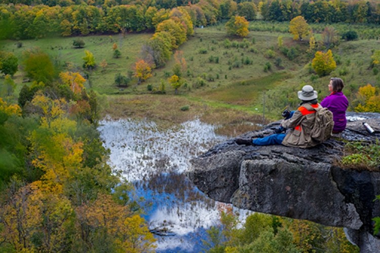 Skinner's Bluff