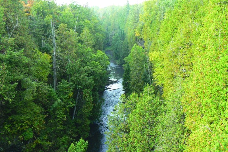 Photo taken from Grey County Road #2