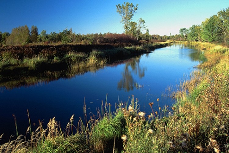 Saugeen River calm