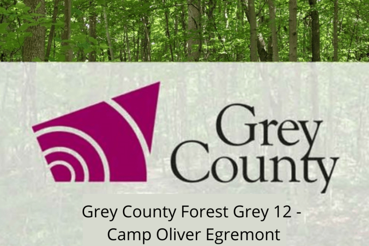 Grey County Forest 12 - Camp Oliver Egremont