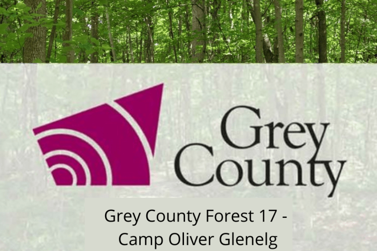 Grey County Forest 17 - Camp Oliver Glenelg