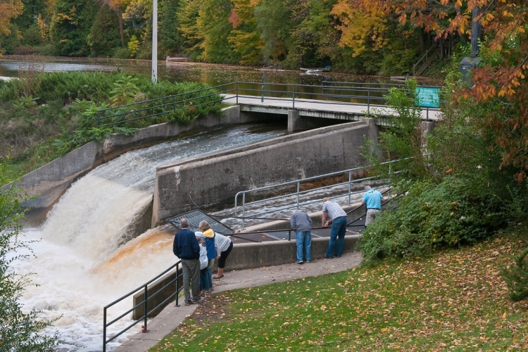Owen Sound mill dam and fish ladder