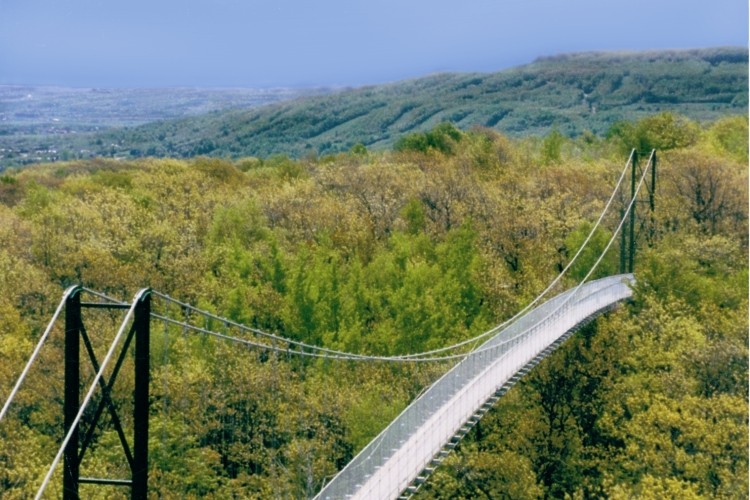 Iconic 420 ft. Suspension Footbridge - Southern Ontario's longest