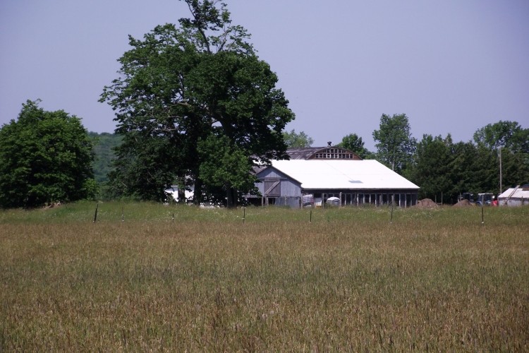 Summer at Binder Twine Lane is awesome. A walk along the woods gives you a view that's heart warming. Summer grasses beckon.