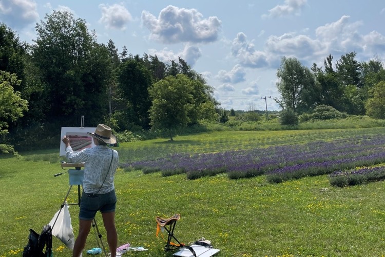 Bluewater Lavender Farm