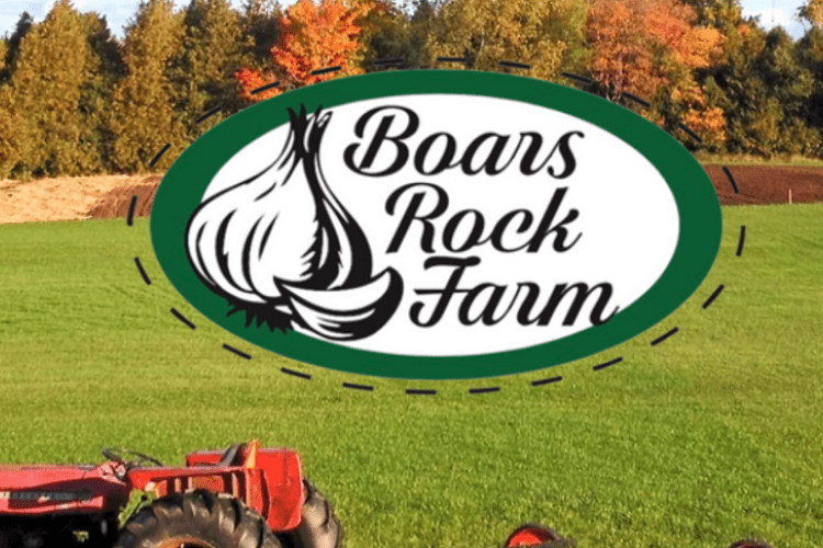 Boars Rock Farm - Logo